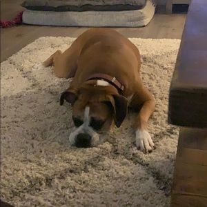 Meet your Posher, Krista